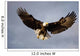 Bald Eagle In Flight Over Homer Spit, Kenai Peninsula, Alaska Wall Mural