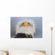 Humorous Portrait Of A Young Eagle Wall Mural
