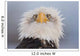 Humorous Portrait Of A Young Eagle Wall Mural