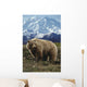 Grizzly On Tundra Mckinley In Background Composite Wall Mural