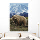 Grizzly On Tundra Mckinley In Background Composite Wall Mural
