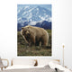 Grizzly On Tundra Mckinley In Background Composite Wall Mural