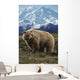 Grizzly On Tundra Mckinley In Background Composite Wall Mural