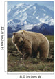 Grizzly On Tundra Mckinley In Background Composite Wall Mural