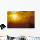 Tall Grass Backlit By Sunset Sc Ak Autumn Silhouette Wall Mural