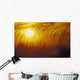 Tall Grass Backlit By Sunset Sc Ak Autumn Silhouette Wall Mural