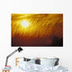 Tall Grass Backlit By Sunset Sc Ak Autumn Silhouette Wall Mural