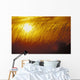 Tall Grass Backlit By Sunset Sc Ak Autumn Silhouette Wall Mural