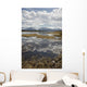 Scenic View Of Clouds Reflecting In Knob Lake Along The Glenn Highway Wall Mural