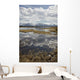 Scenic View Of Clouds Reflecting In Knob Lake Along The Glenn Highway Wall Mural