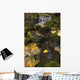 Falls Creek, Turnagain Arm, Southcentral Alaska Wall Mural