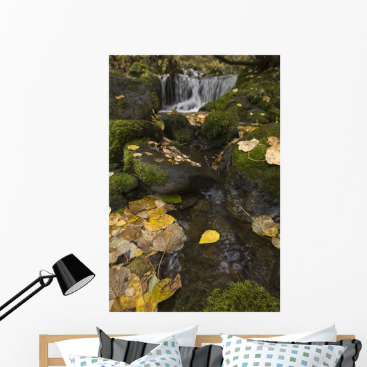 Falls Creek, Turnagain Arm, Southcentral Alaska Wall Mural