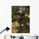Falls Creek, Turnagain Arm, Southcentral Alaska Wall Mural