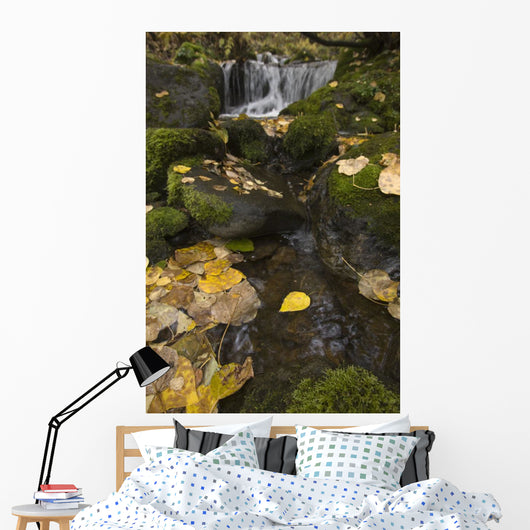 Falls Creek, Turnagain Arm, Southcentral Alaska Wall Mural