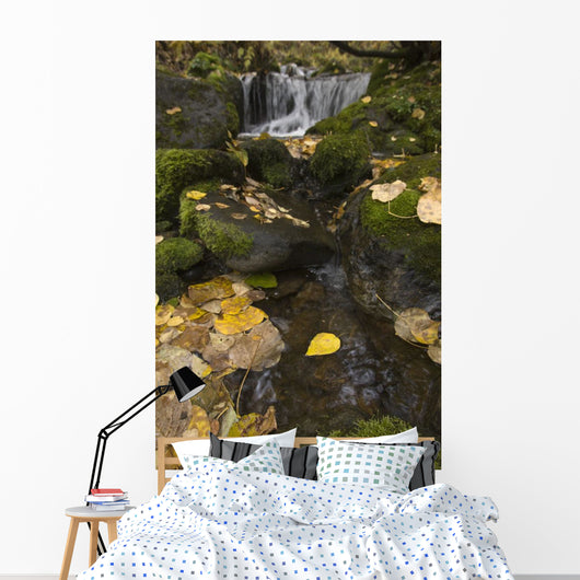 Falls Creek, Turnagain Arm, Southcentral Alaska Wall Mural