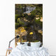Falls Creek, Turnagain Arm, Southcentral Alaska Wall Mural