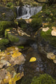 Falls Creek, Turnagain Arm, Southcentral Alaska Wall Mural