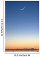 Cresent Moon Rising At Sunset Over Cook Inlet Wall Mural