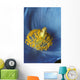 Close Up Detail Of Blue Poppy Wall Mural