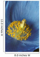 Close Up Detail Of Blue Poppy Wall Mural