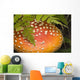 Close Up Of An Amanita Muscaria Mushroom Wall Mural