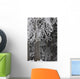 Hoar Frost Wall Mural