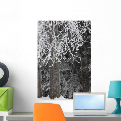 Hoar Frost Wall Mural shown on a wall