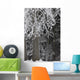 Hoar Frost Wall Mural