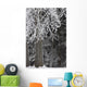 Hoar Frost Wall Mural
