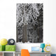 Hoar Frost Wall Mural