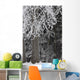Hoar Frost Wall Mural