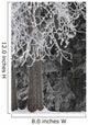 Hoar Frost Wall Mural
