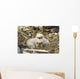 Bald Eagle Chicks Sitting In A Nest On Middleton Island Wall Mural