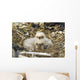 Bald Eagle Chicks Sitting In A Nest On Middleton Island Wall Mural