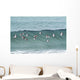 Sanderling In Flight Over Ocean Waves Near Middleton Island Wall Mural