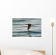 A Male Long-Tailed Duck In Winter Plumage In Flight Over Kachemak Bay Wall Mural