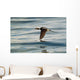 A Male Long-Tailed Duck In Winter Plumage In Flight Over Kachemak Bay Wall Mural