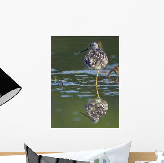 A Lesser Yellowlegs Standing On One Leg Is Reflected Wall Mural