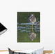 A Lesser Yellowlegs Standing On One Leg Is Reflected Wall Mural