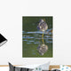 A Lesser Yellowlegs Standing On One Leg Is Reflected Wall Mural