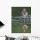 A Lesser Yellowlegs Standing On One Leg Is Reflected Wall Mural