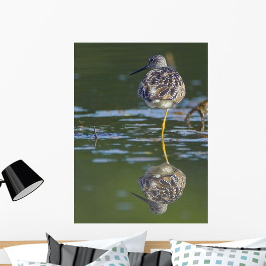 A Lesser Yellowlegs Standing On One Leg Is Reflected Wall Mural