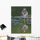 A Lesser Yellowlegs Standing On One Leg Is Reflected Wall Mural