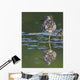 A Lesser Yellowlegs Standing On One Leg Is Reflected Wall Mural