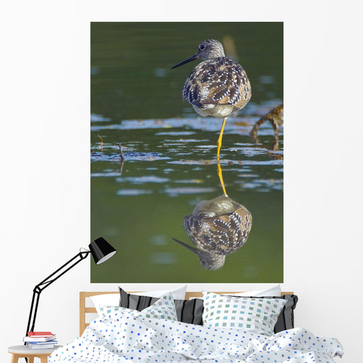A Lesser Yellowlegs Standing On One Leg Is Reflected Wall Mural