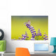 A Savannah Sparrow Singing While Perch On A Lupine Blossom Wall Mural