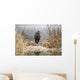Great Blue Heron Stands Wall Mural