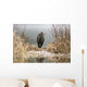 Great Blue Heron Stands Wall Mural