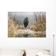 Great Blue Heron Stands Wall Mural
