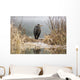 Great Blue Heron Stands Wall Mural
